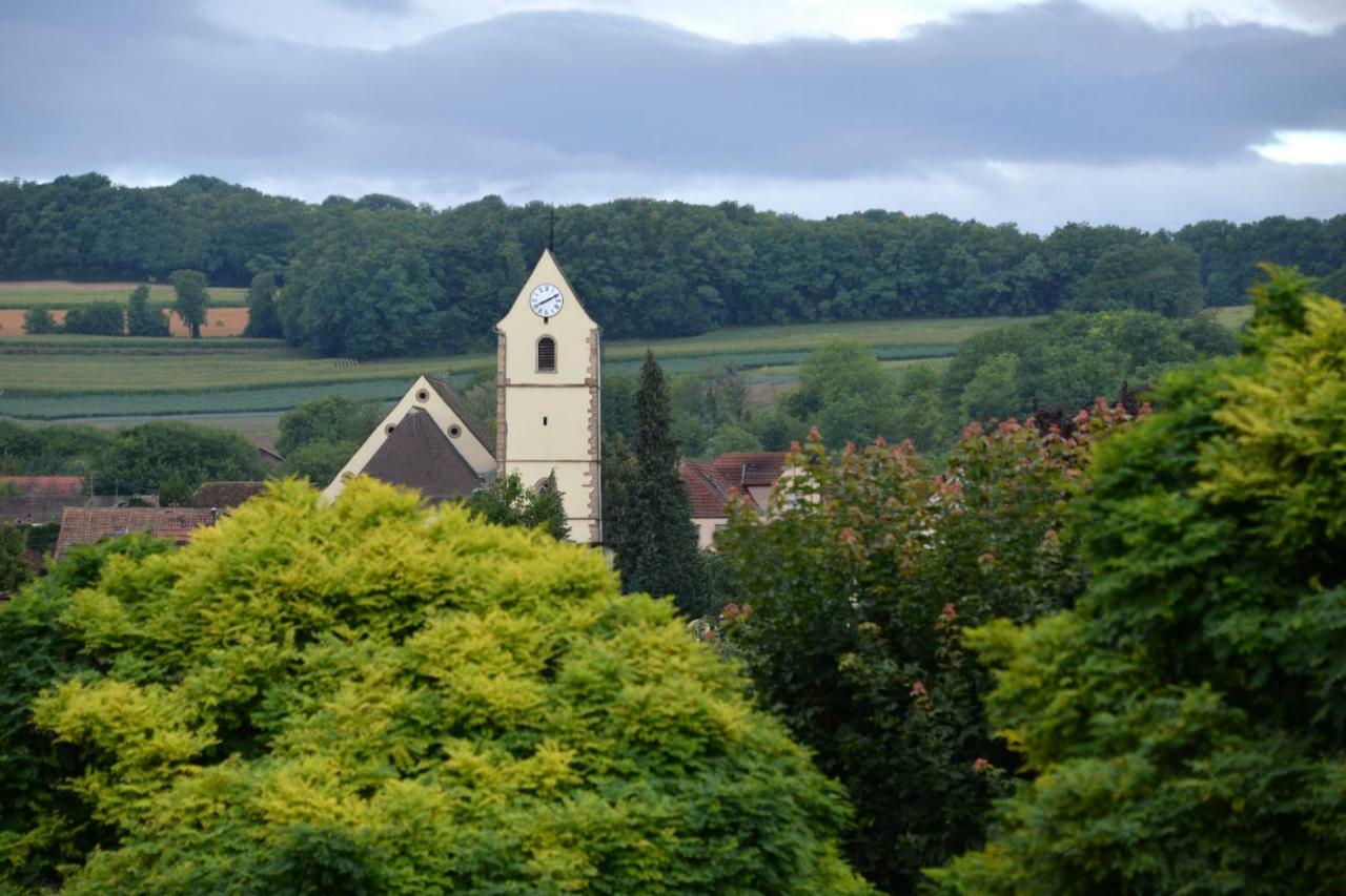 Zimmersheim Gite Aux Deux Clochers מראה חיצוני תמונה